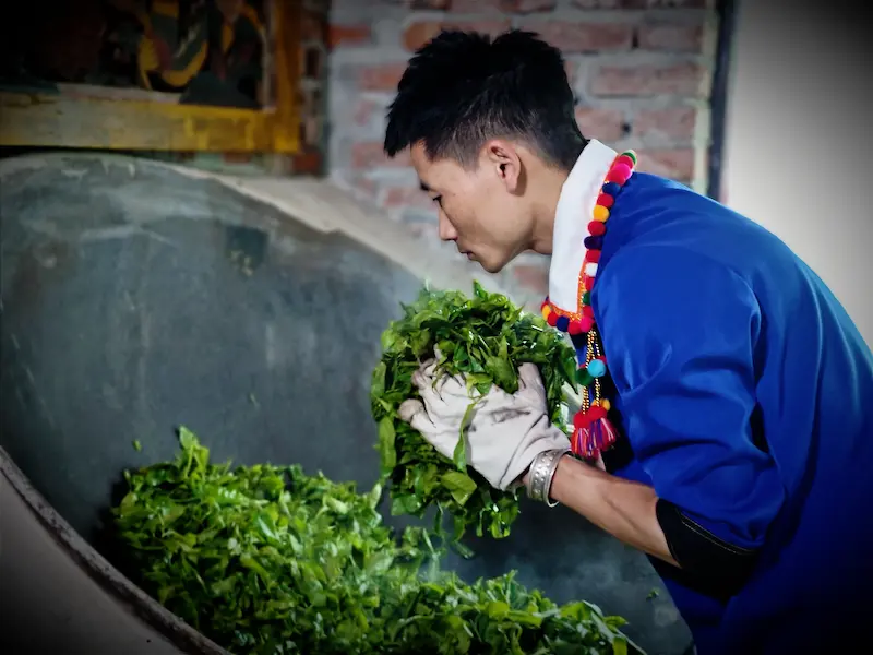 A De'ang man roasting fresh tea leaves in a large wok.