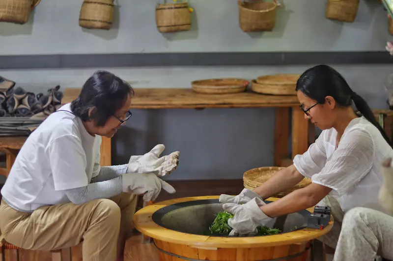 A Singaporean guest learning to roast fresh tea leaves in a large wok.