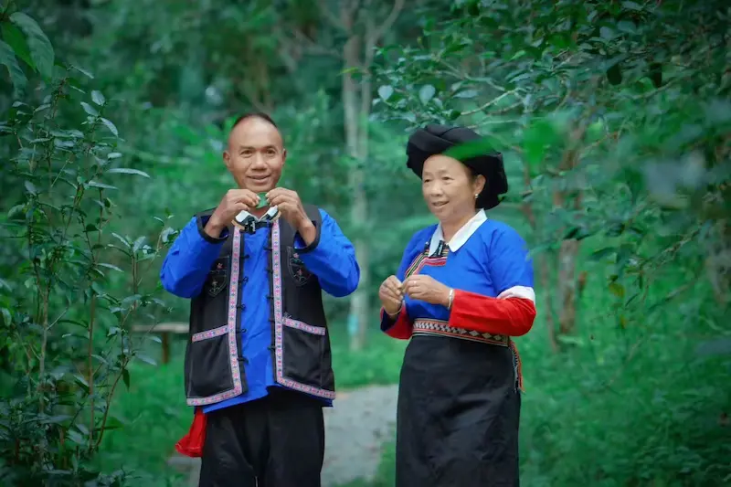 A Yi couple in Xishuangbanna smiling and standing in an ancient tea forest.