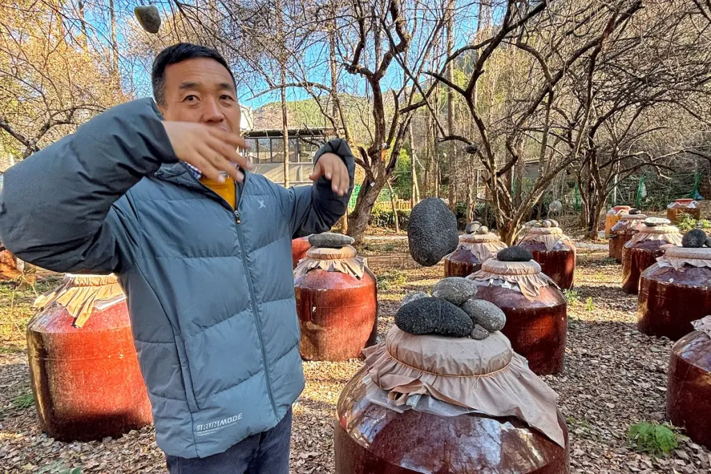 A traditional fermented pear juice artisan standing in front of dozens of pottery vessels used for fermentation.