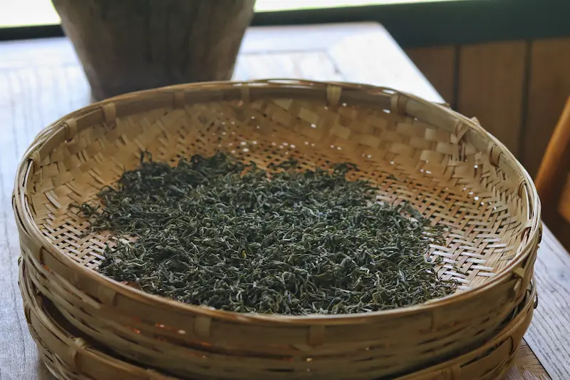Freshly made green Pu’er tea cooling on a bamboo sheet.
