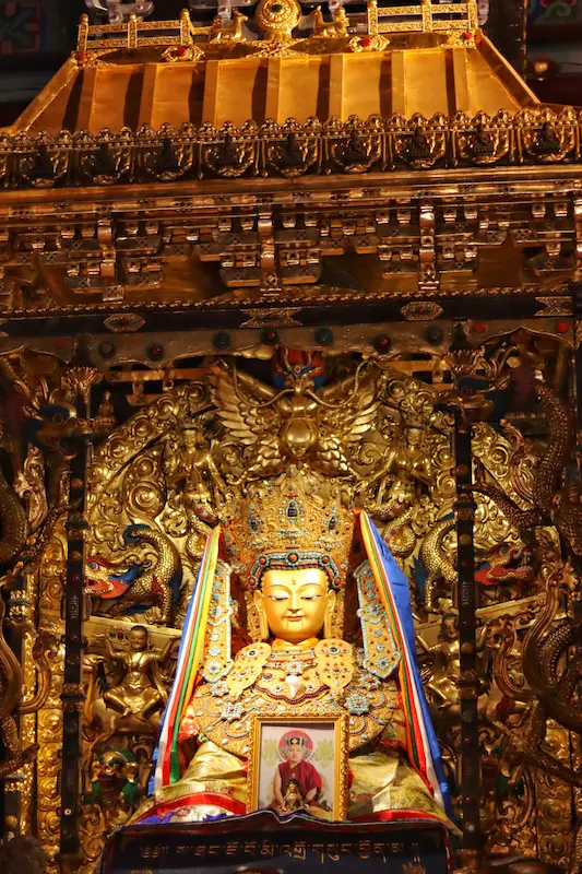 Gilded Buddhist shrine with elaborate gold ornamentation, dragon carvings, and ceremonial silk scarves at a monastery in northwest Yunnan.