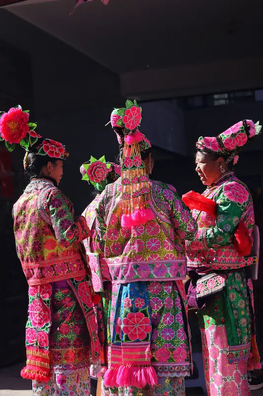 Group of Yi women in bright pink and green embroidered wedding costumes with floral headdresses, Nanzhao descendant village, Dali, Yunnan