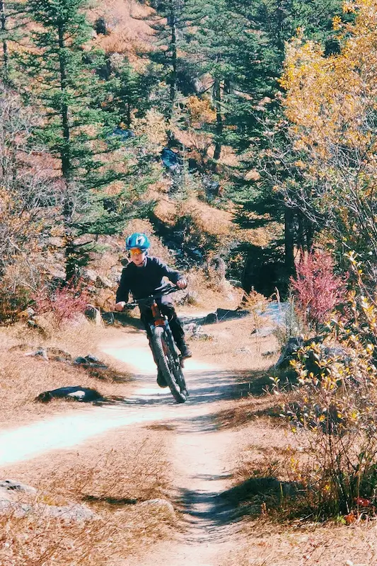Mountain biker riding through an autumn forest trail near Lijiang, Yunnan