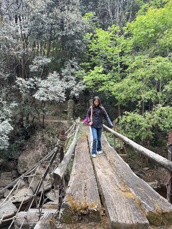 Visitor crossing a rustic wooden plank bridge through the forest at a permaculture farm near Lijiang, Yunnan.