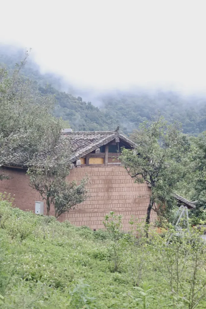 Misty ancient tea mountain with a wooden house among the tea forest in Pu'er