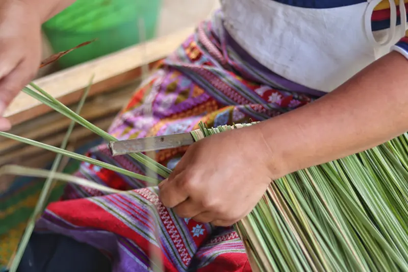 Hands weaving fresh reeds into a traditional mat in a Bulang village