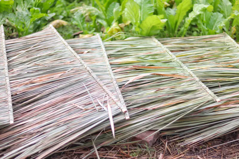 Reed mats drying in the sun in a Bulang village near Menghai