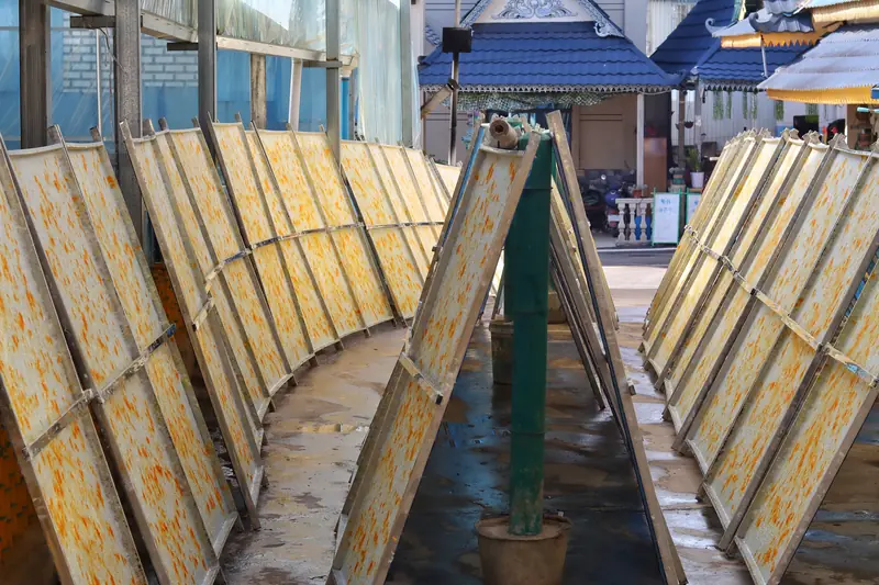 Handmade Dai paper drying on bamboo frames in the sun, Menghai