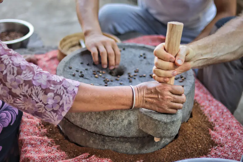 Grinding roasted coffee beans by hand with a stone mill in a Dai village
