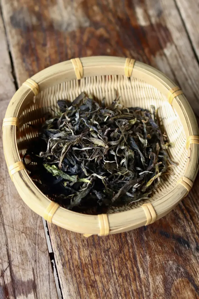 Freshly picked Pu'er tea leaves in a bamboo basket