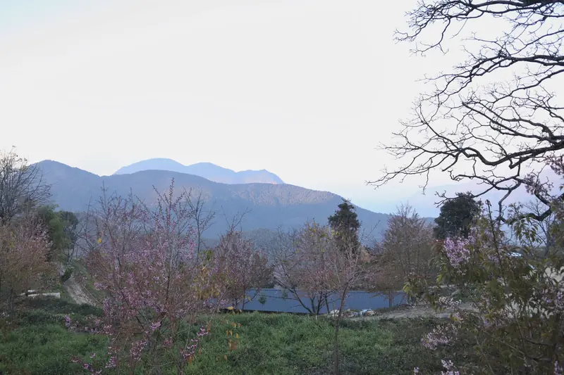 Mountain landscape surrounding an organic coffee plantation in Gaoligong, Yunnan