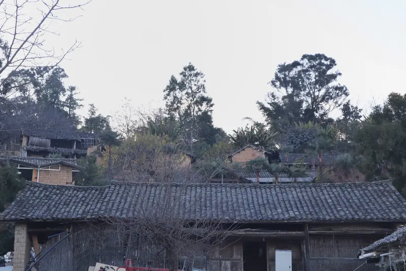 Village houses and rooftops at an organic coffee farm in the Gaoligong Mountains