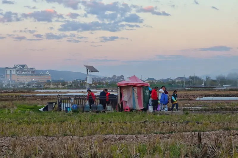 Rice fields at sunset near a hot spring outside Menglian, Pu'er