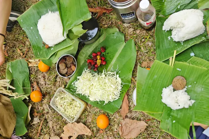 Picnic lunch on banana leaves prepared by rangers after the langur nature hike