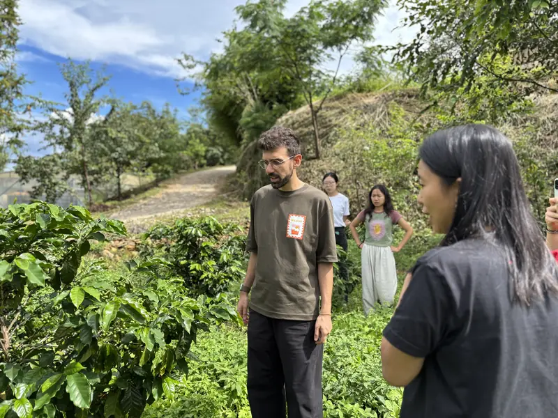 Visitors exploring a Yunnan highland coffee plantation with ripe Arabica cherries on the plants