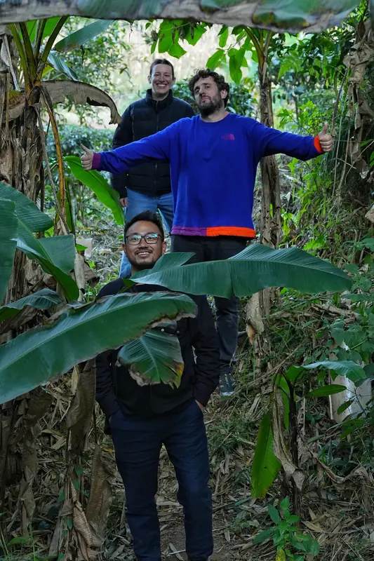 Two visitors and Leo posing cheerfully among banana plants in a Yunnan tea garden forest
