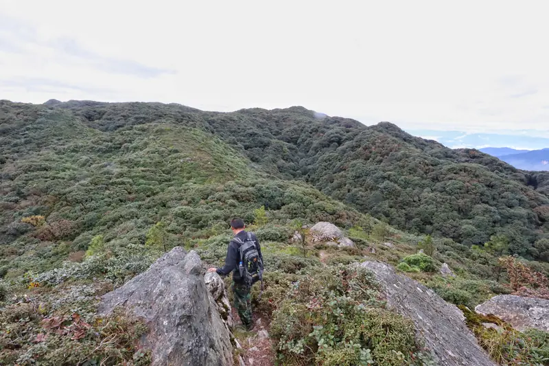 Hikers pause on a ridge viewpoint in the Ailao Mountains.
