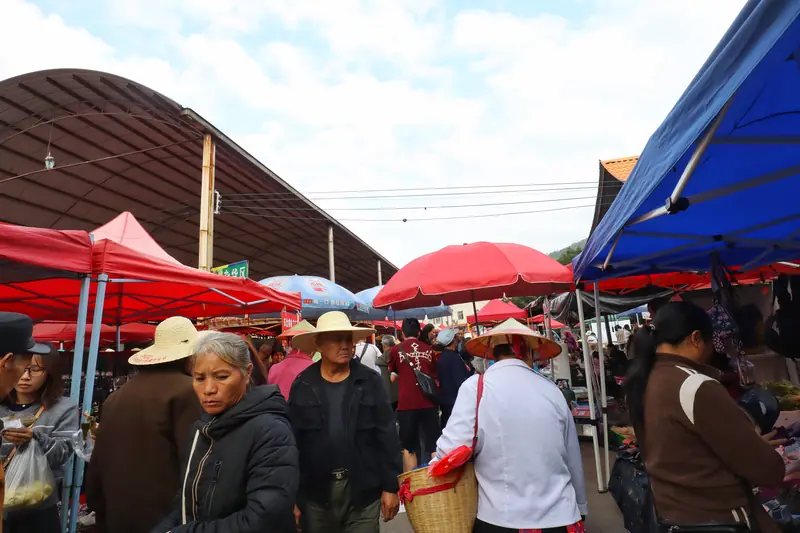 Visitors and villagers browse umbrella-covered stalls at the Gasa Flowery-Waist Dai market.