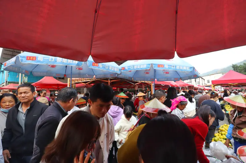 A crowded market day at Gasa, gathering point for the Flowery-Waist Dai every 5-6 days.