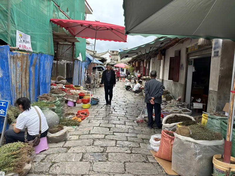 Vendors sell dried herbs and goods along a stone-paved alley in Shiping's old town.