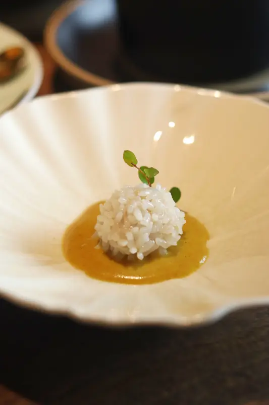 Rice dumpling in light broth with herb garnish, vegan fine dining course in Yunnan