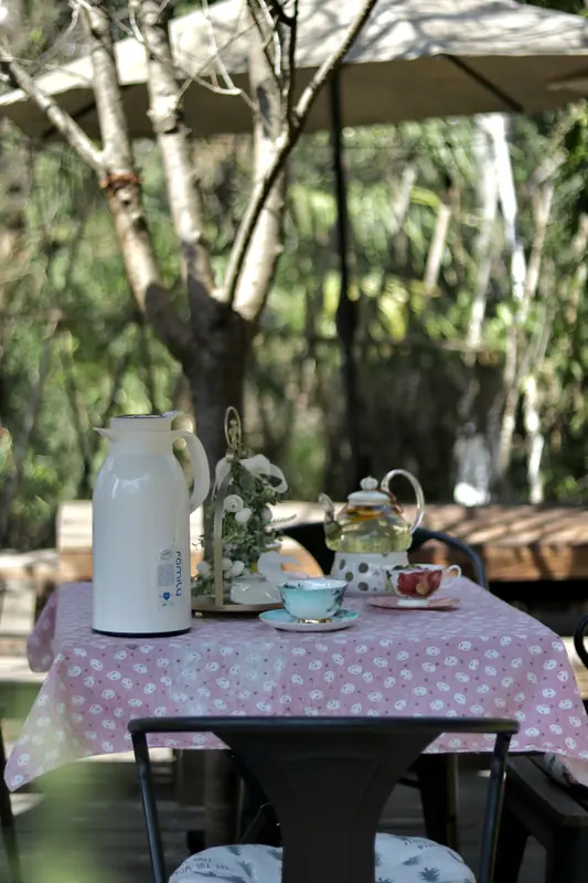 Outdoor tea table set among trees in a Yunnan herb garden