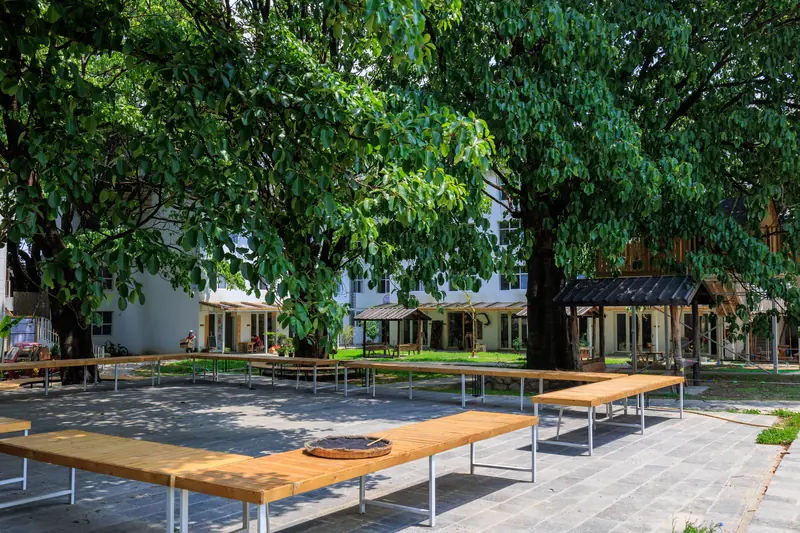 Picnic tables under trees at a Yunnan vegan community gathering space