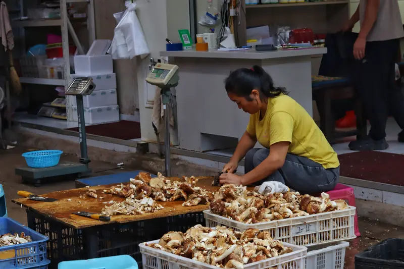 A market vendor trimming fresh wild mushrooms beside several crates of mushrooms in Kunming